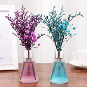 Decorative reed diffuser